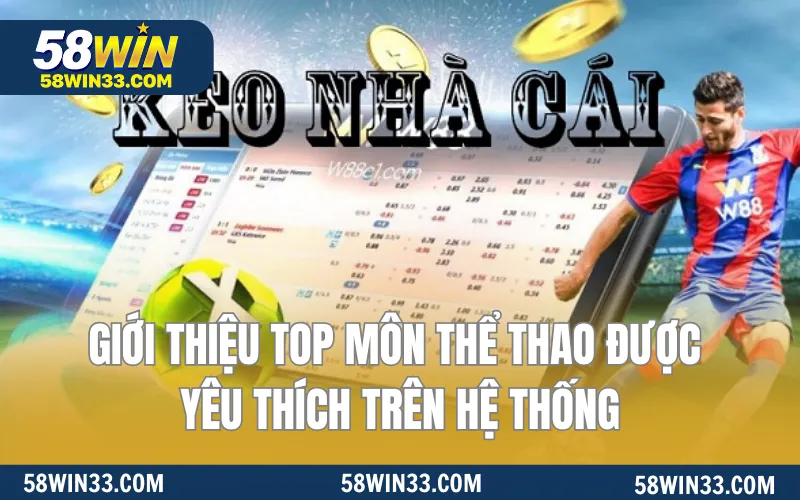 Giới thiệu top môn thể thao được yêu thích trên hệ thống