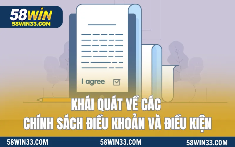 Khái quát về chính sách điều khoản dịch vụ