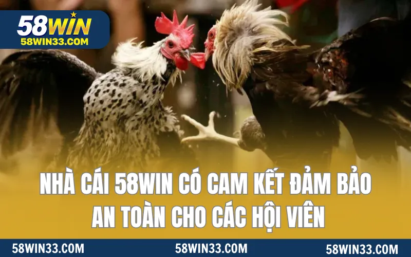 Nhà cái 58WIN có cam kết đảm bảo an toàn cho các hội viên